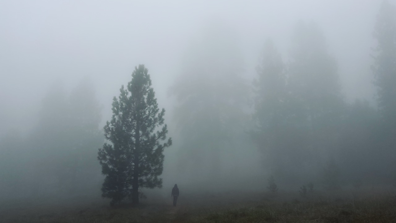 Into the Mist: A Spooky Halloween Hike through Palomar Mountain's Enigmatic Trails