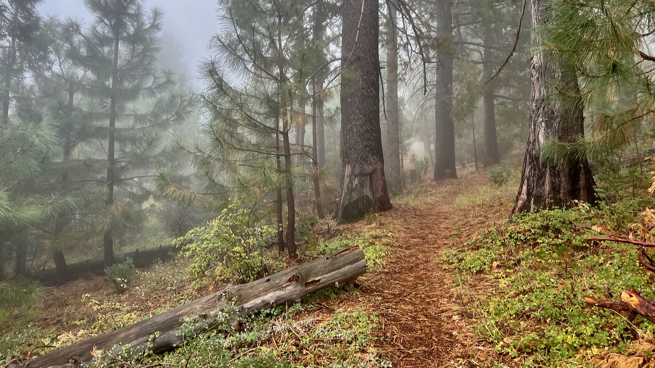 Whispers in the Mist: A Spooky Prelude to Halloween atop Cuyamaca Peak