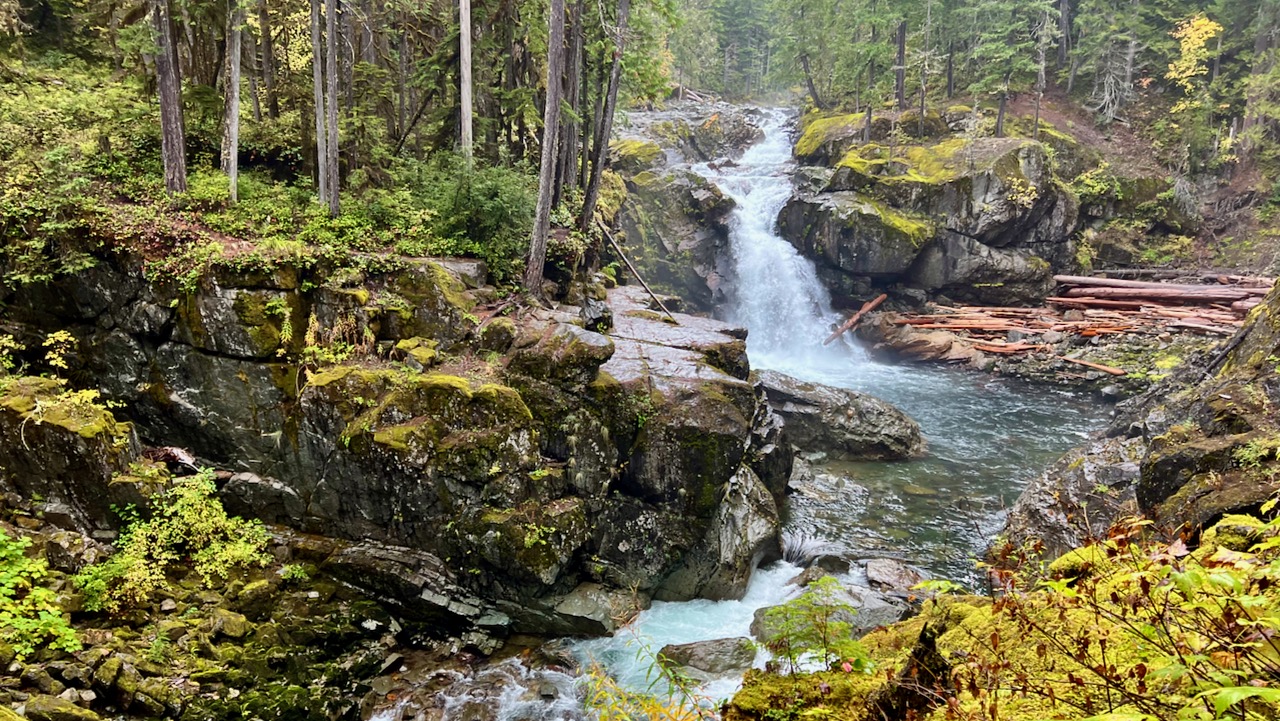 Rainy Bliss: A Tranquil Afternoon on Silver Falls Loop Trail