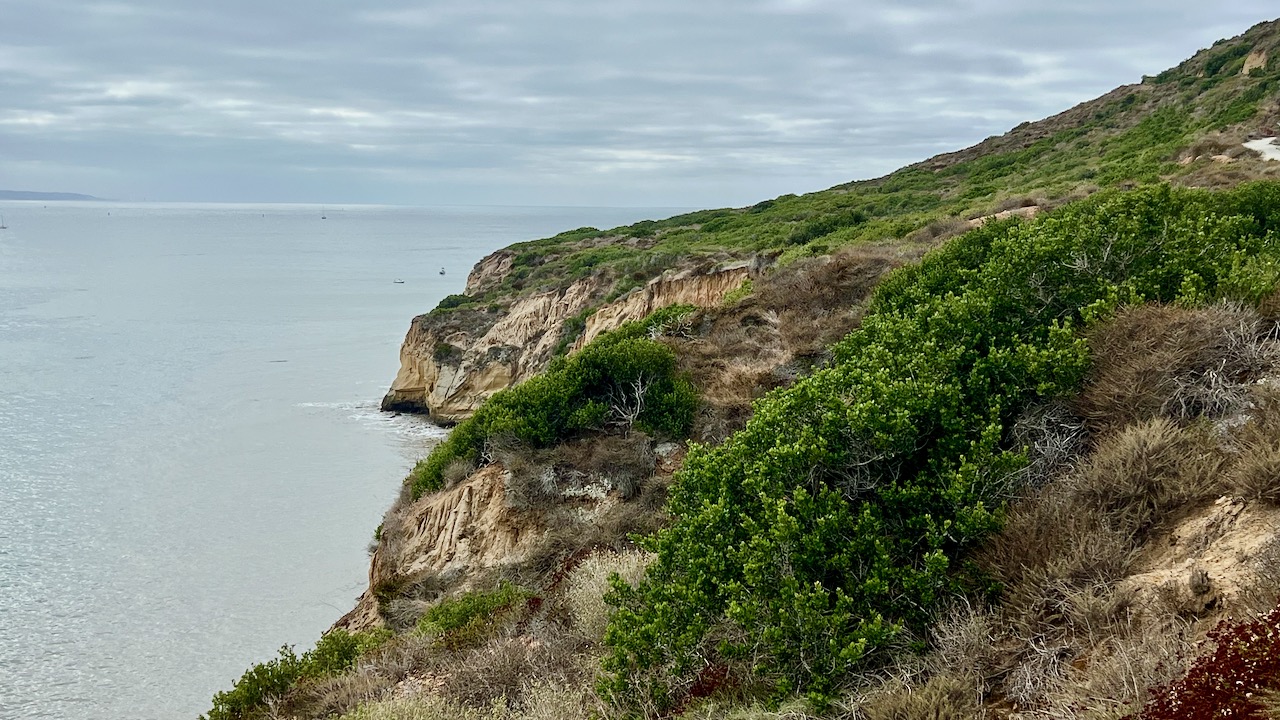 Coastal Chronicles: A Joyful Morning Jaunt on Bayside Trail