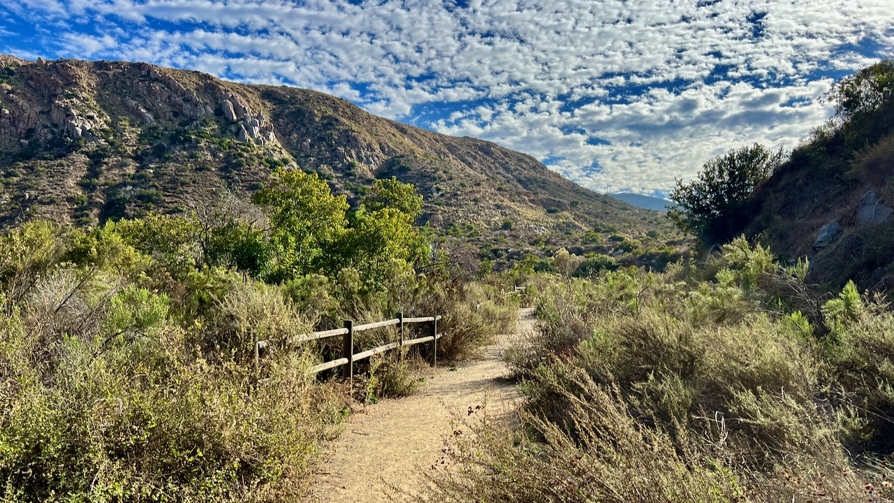 An Early Morning Gratitude Walk