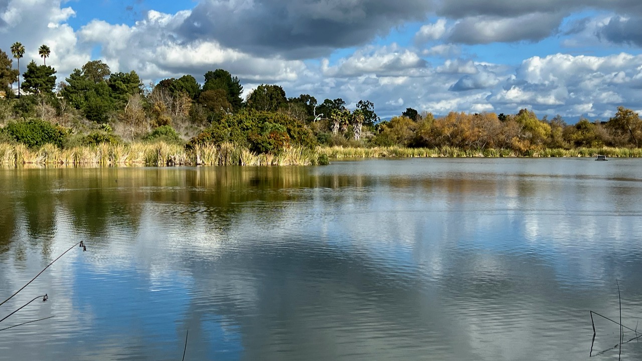 Saturday Afternoon Ramble at Guajome Regional Park