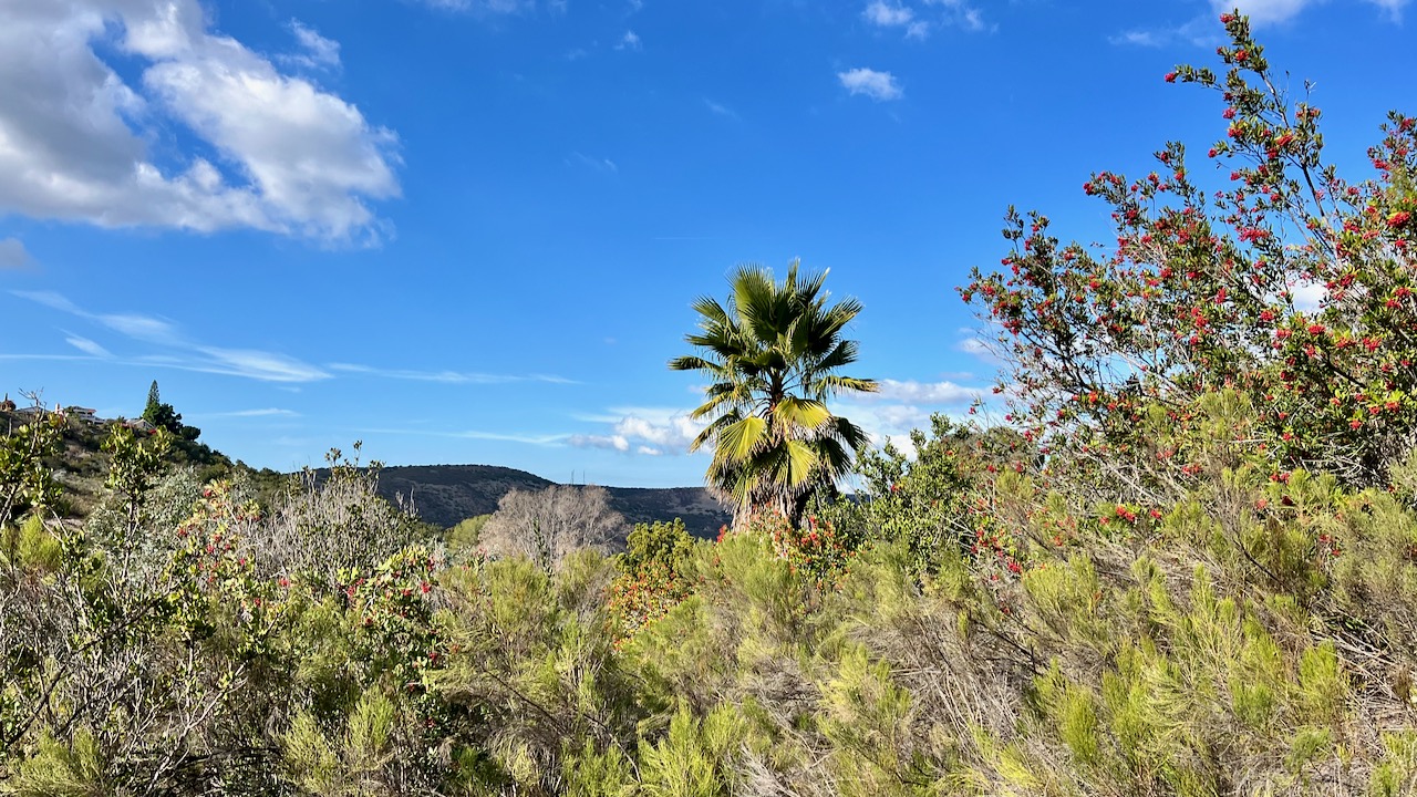 A Christmas Eve Adventure: Exploring Hemingway to Rancho Mission Canyon Trail