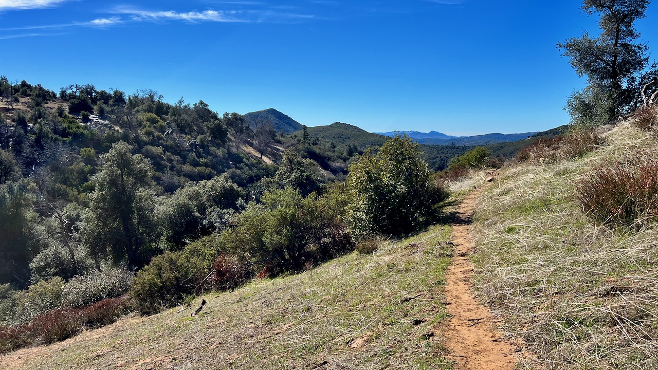 Trail Tales: The Inviting Challenge of Eastside, Juaquapin, Dyar Spring, and Harvey Moore Loop Trail