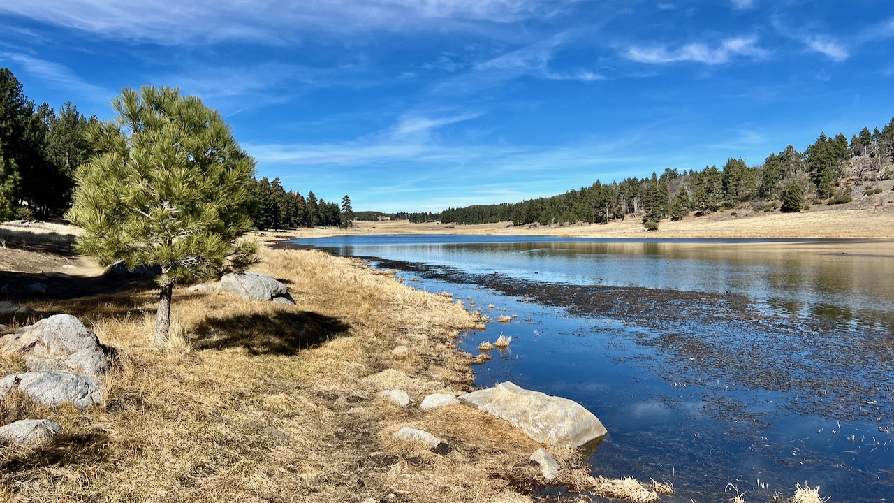 Sun-Kissed Beginnings: A Morning Hike in the Laguna Mountain Area