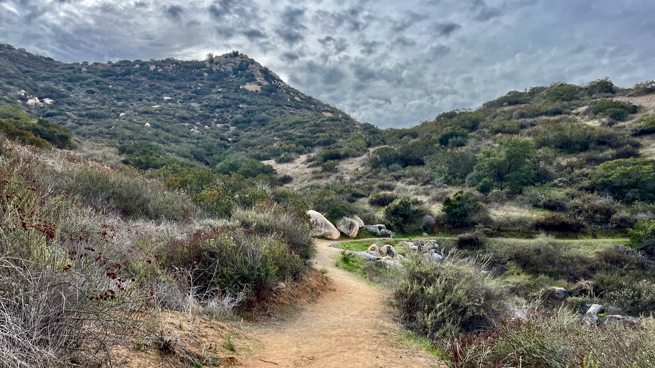 Dancing with Clouds: Stelzer Park Loop Trail Adventure