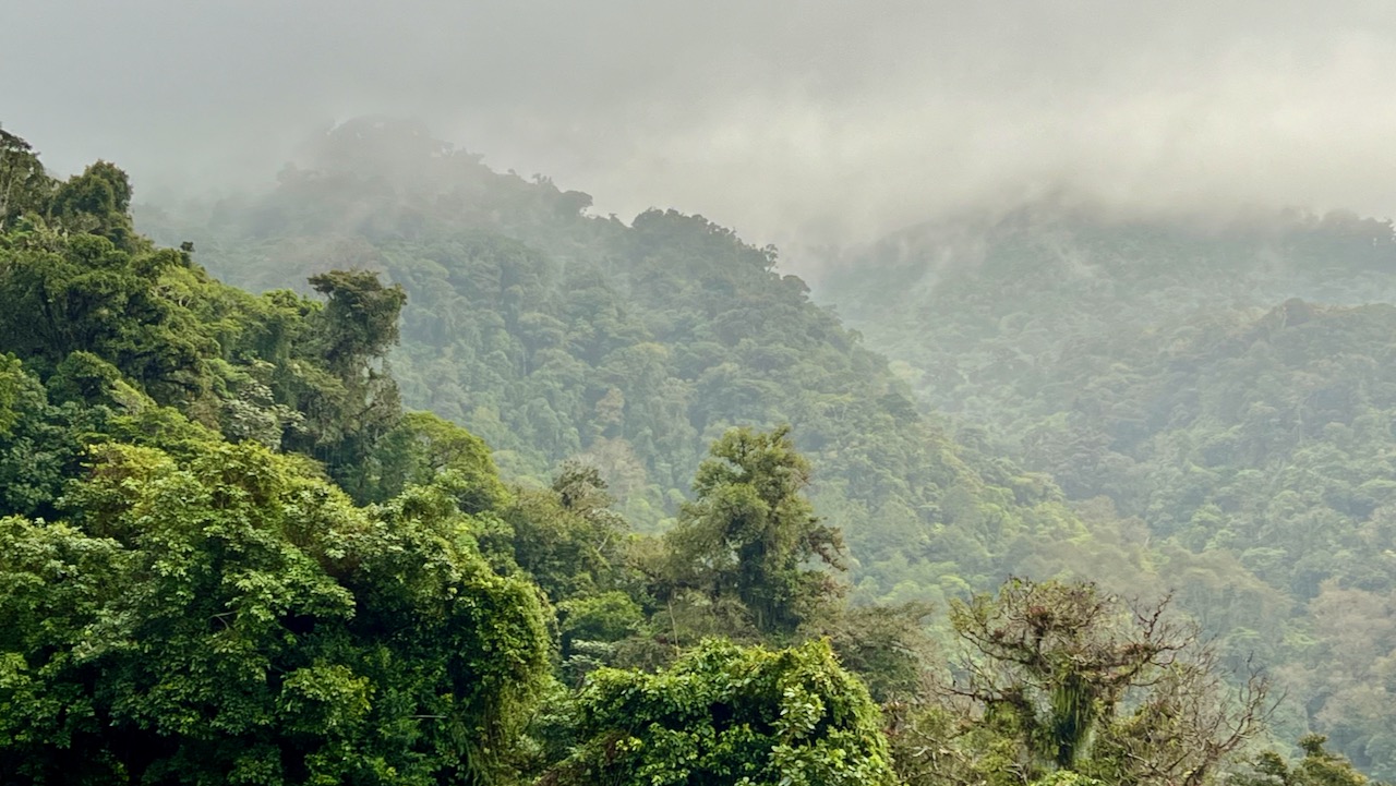 Exploring the Cascada El Tatica Trail: A Rainy Adventure in Panama