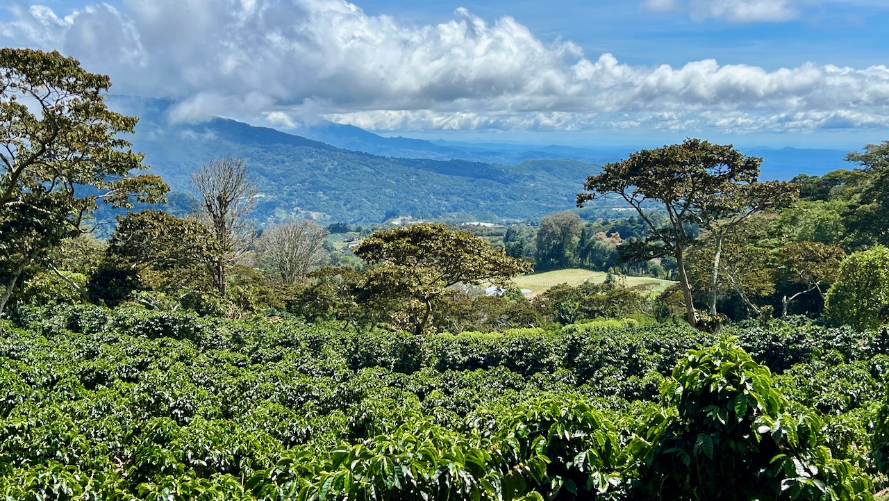 Embracing Nature's Splendor: A Hike along Finca Lerida Trail