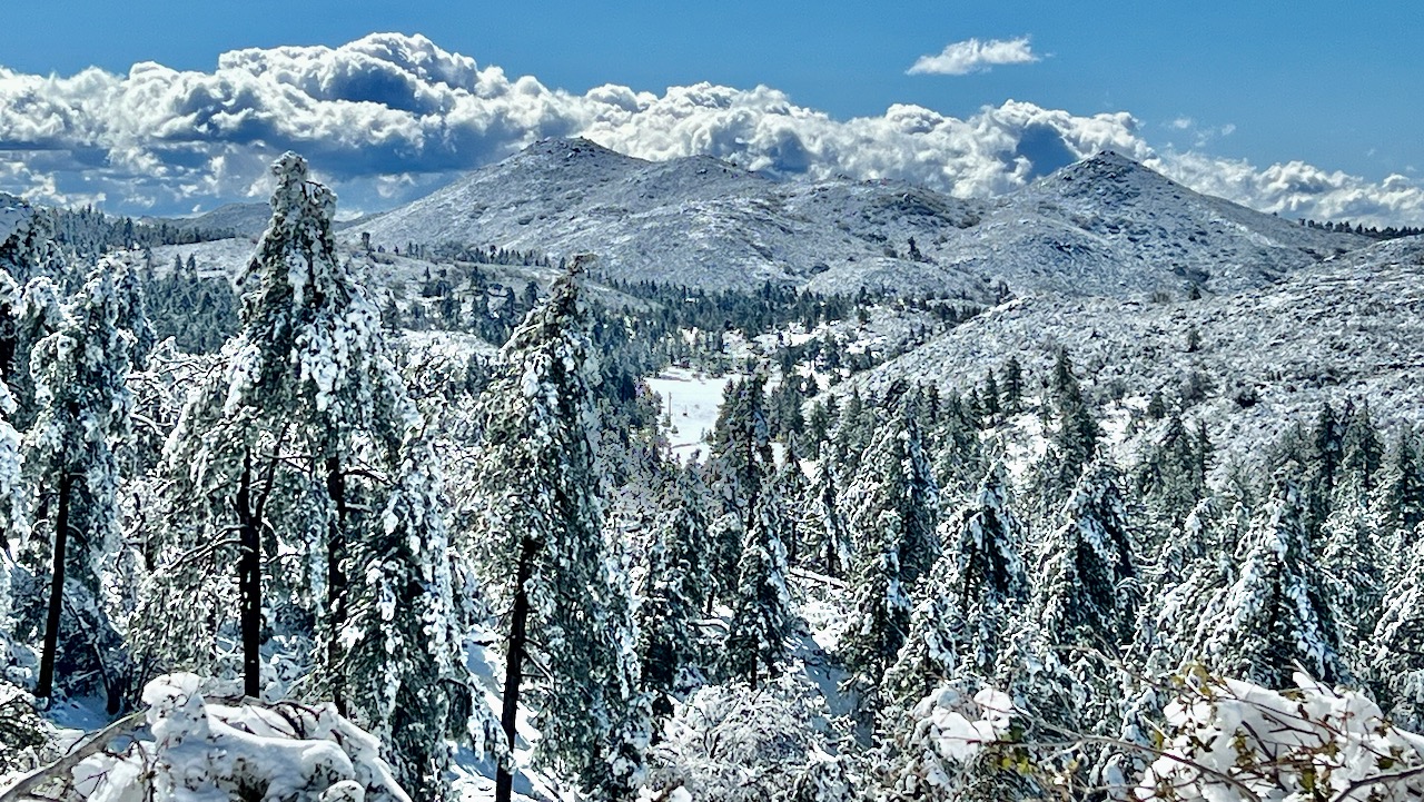 Embracing Winter's Wonderland: Exploring Red-Tailed Roost and Agua Dulce Trail Loop