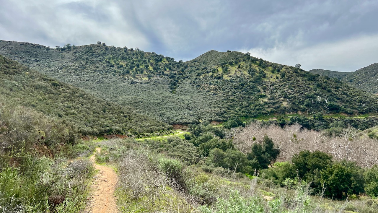 Exploring Nature's Wonders: Our Saturday Hike on the Lower Santa Ysabel Road Trail