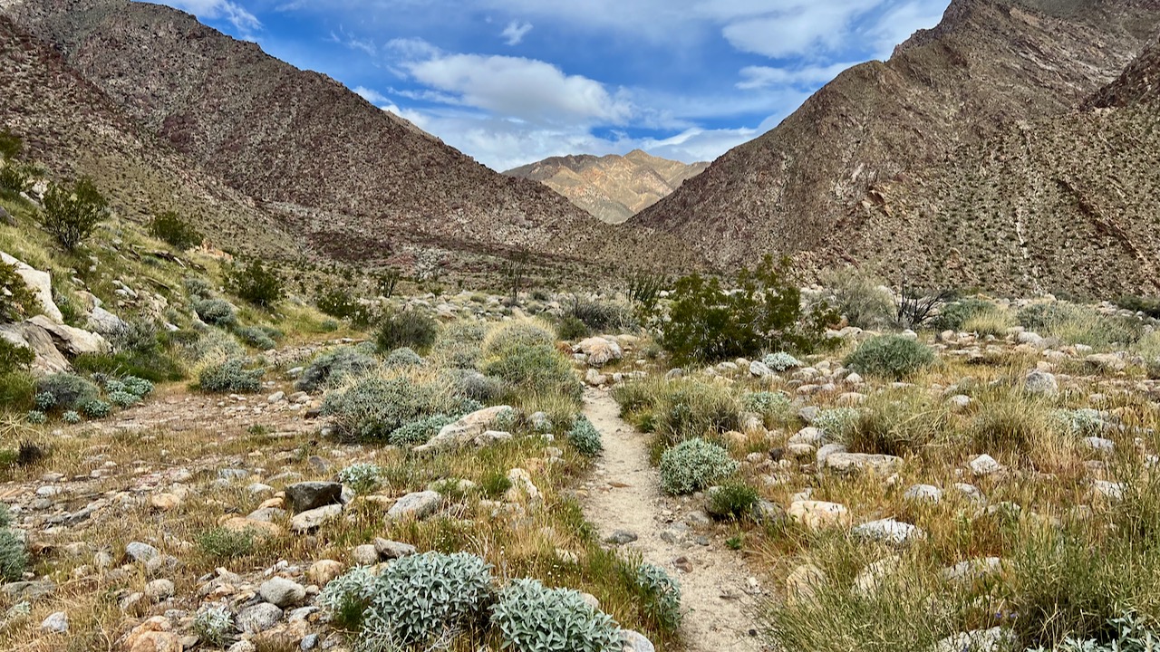 Exploring Anza Borrego Desert State Park: A Friday Morning Adventure