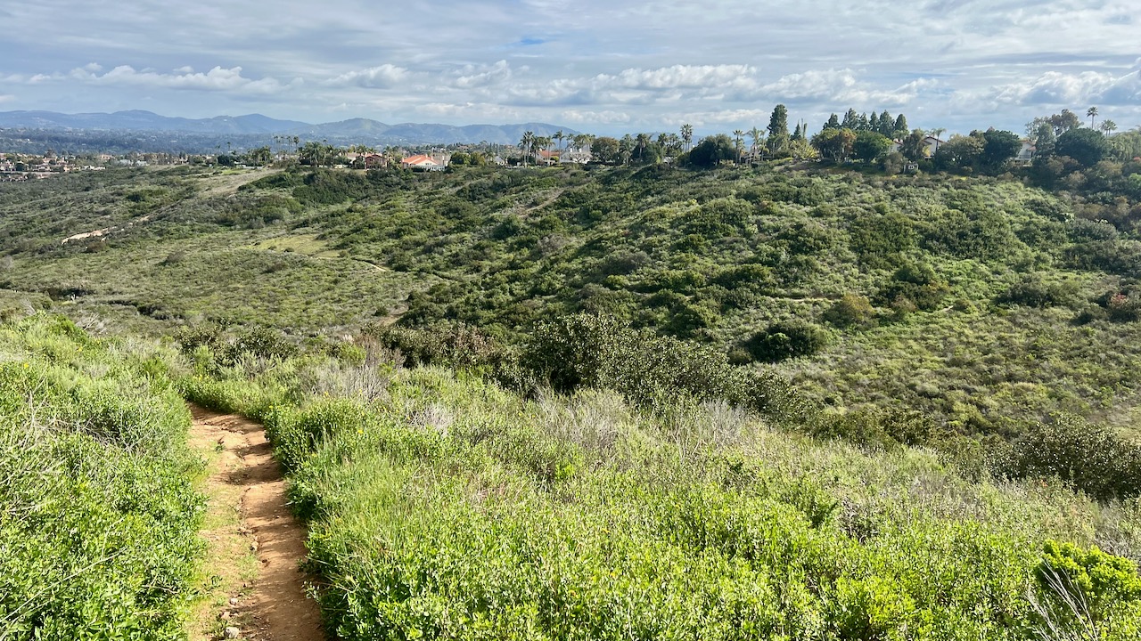 Exploring Gonzales Canyon Loop Trail: A Saturday Morning Adventure