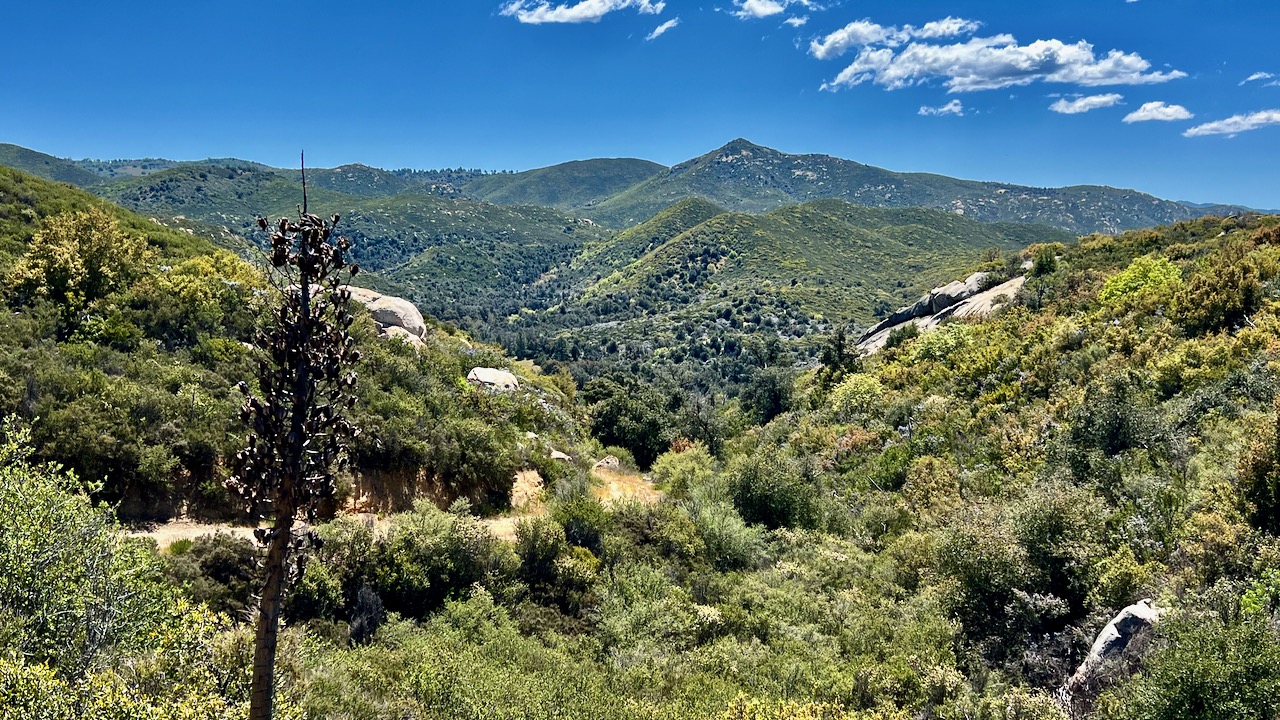 Discovering Tranquility: A Saturday Morning Hike in Cuyamaca Rancho State Park