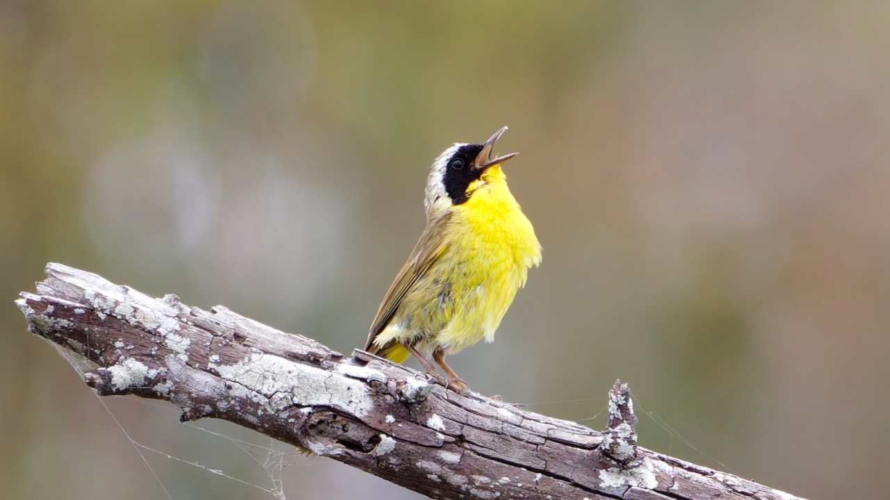 A Tranquil Saturday: Hiking the La Orilla Trail