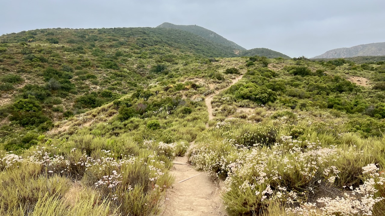 A Morning Challenge: Hiking the Kwaay Paay Peak Trail