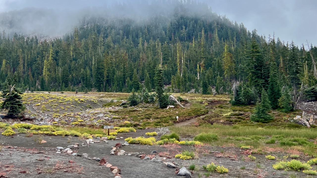 A Chilly Adventure: Our Hike on the Gray Butte Trail