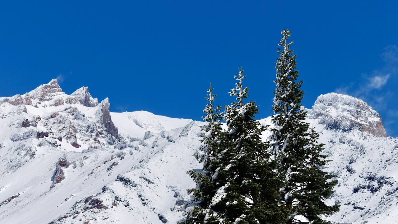 A Winter Wonderland: Our Hike on the Panther Springs Trail