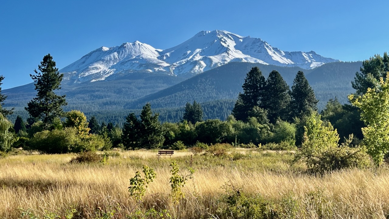 A Charming Morning: Our Hike on the Sisson Meadow Trail Loop