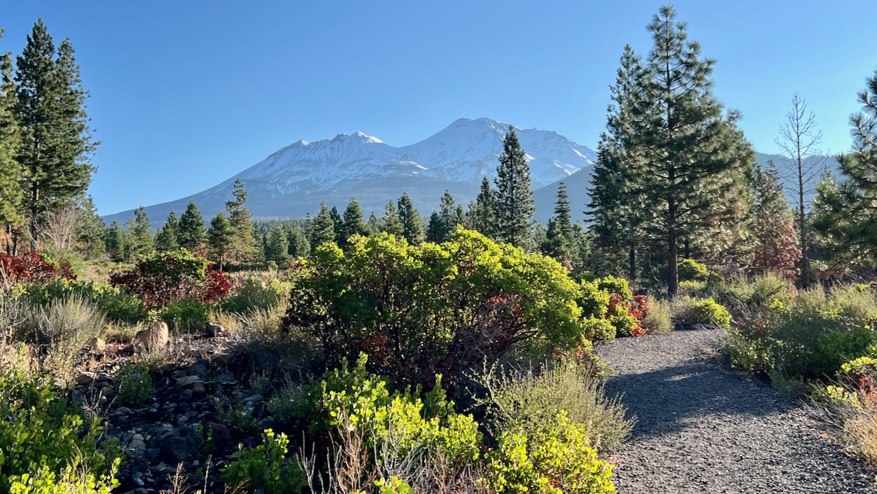 A Sunny Stroll: Our Hike on the Gateway Trails Lollipop Loop