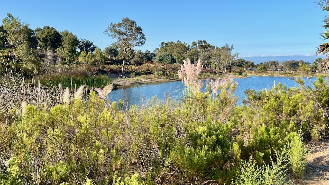 A Sunny Saturday Morning: Our Hike on the Lake Murray Trail