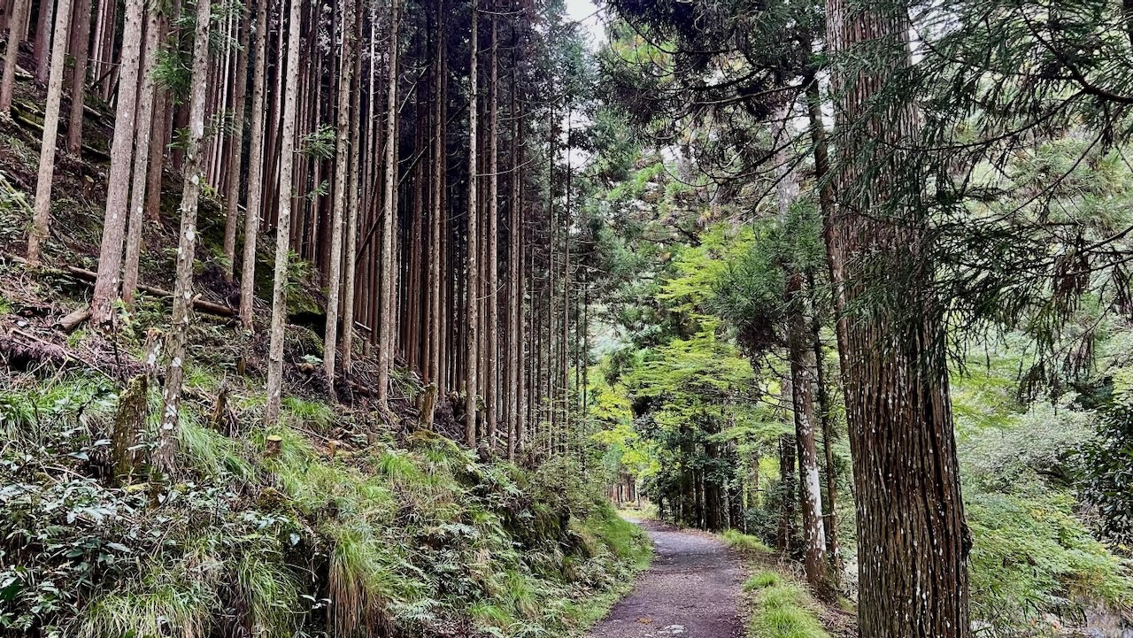 Exploring the Kinunkei Trail