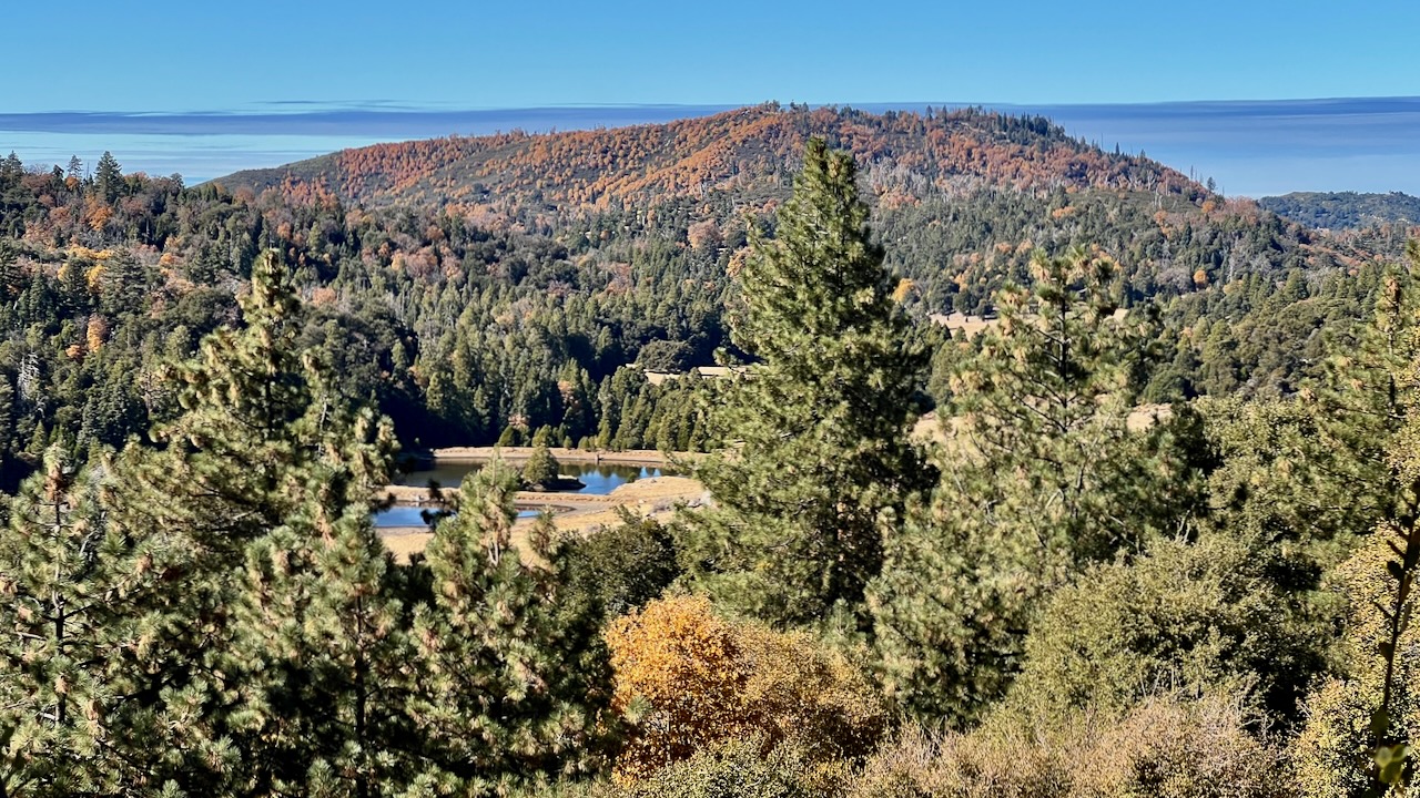 A Crisp Morning on the Palomar Observatory Trail