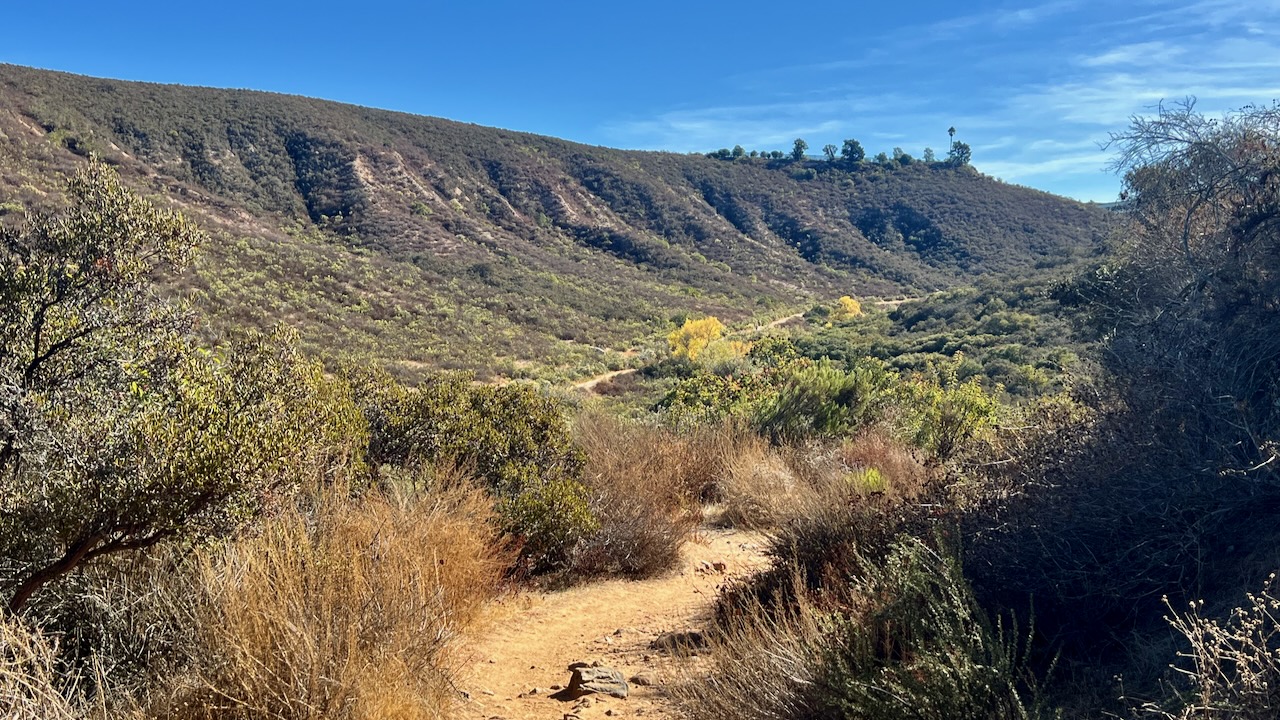 Thanksgiving Morning Adventure on the Big Rock and Mesa Road Loop Trail