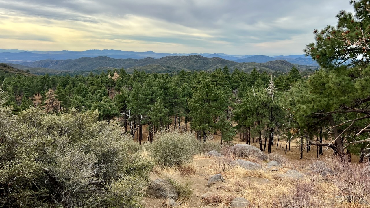 Exploring the Wooded Hill Cemetery and Los Gatos Ravine Loop Trail