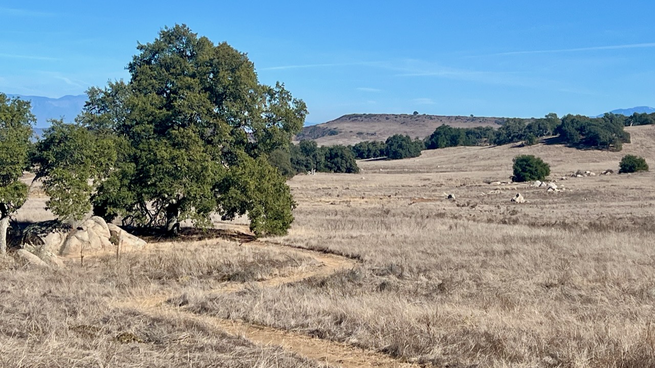 Exploring the Vista Grande Loop