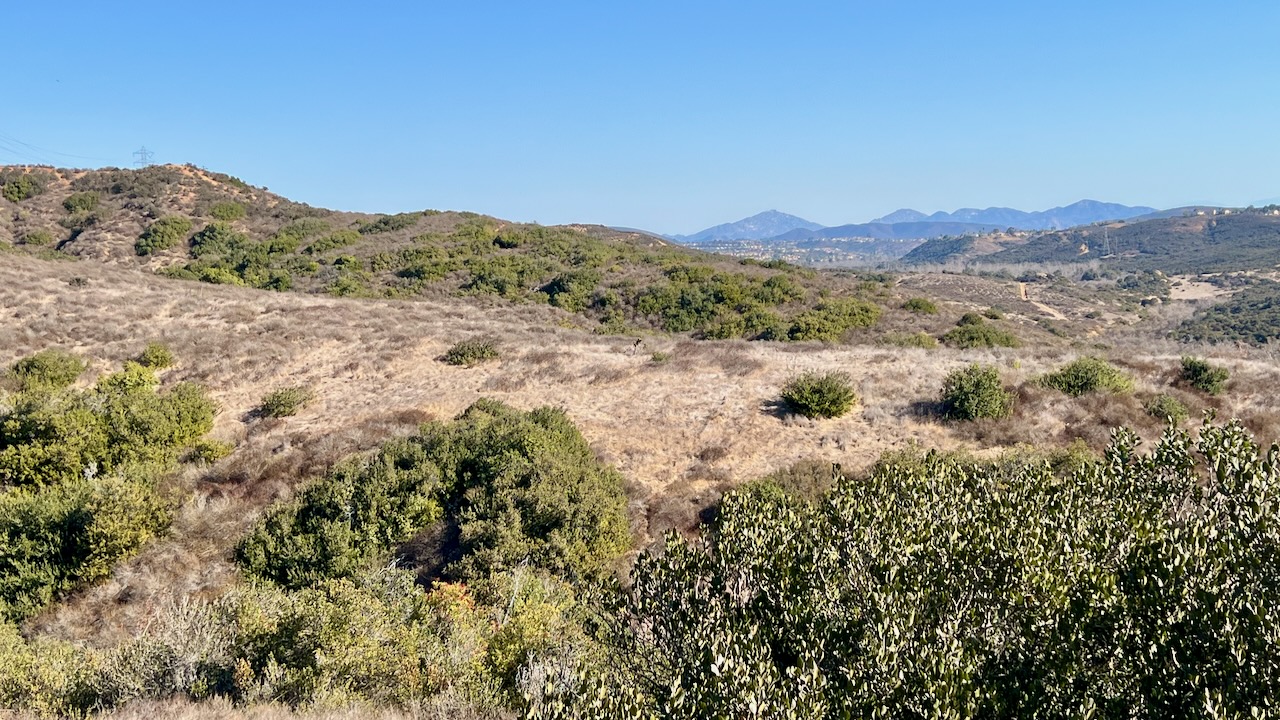 A Sunny Adventure on the Three Bridges Loop