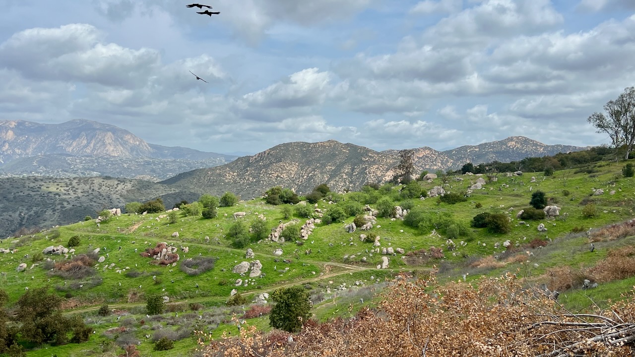 A Scenic Adventure Through Crestridge Ecological Reserve