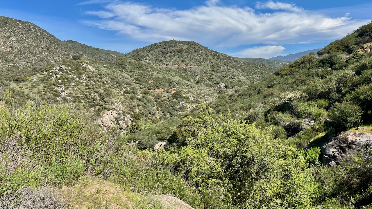 A Sunny Day in Santa Ysabel