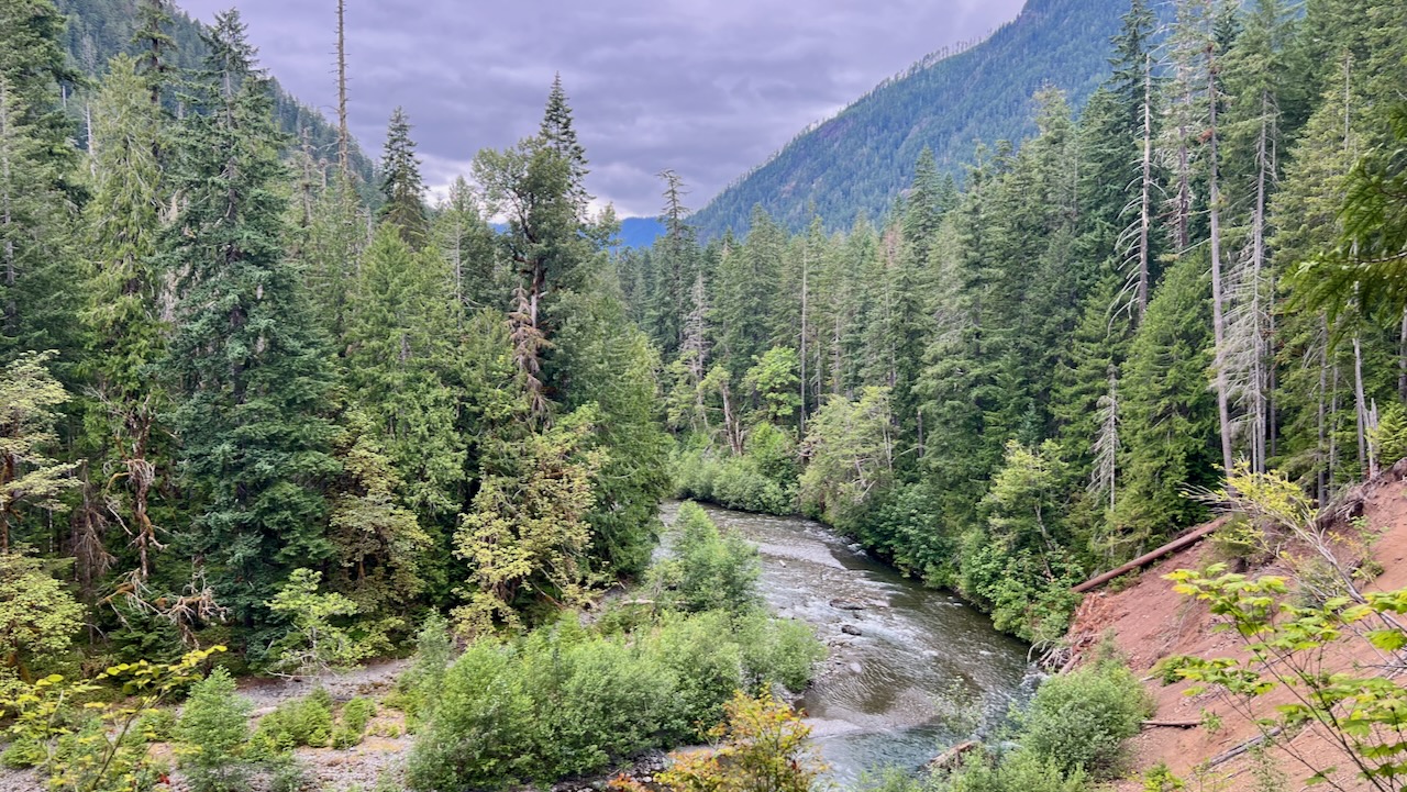 A Peaceful Afternoon in Olympic National Park
