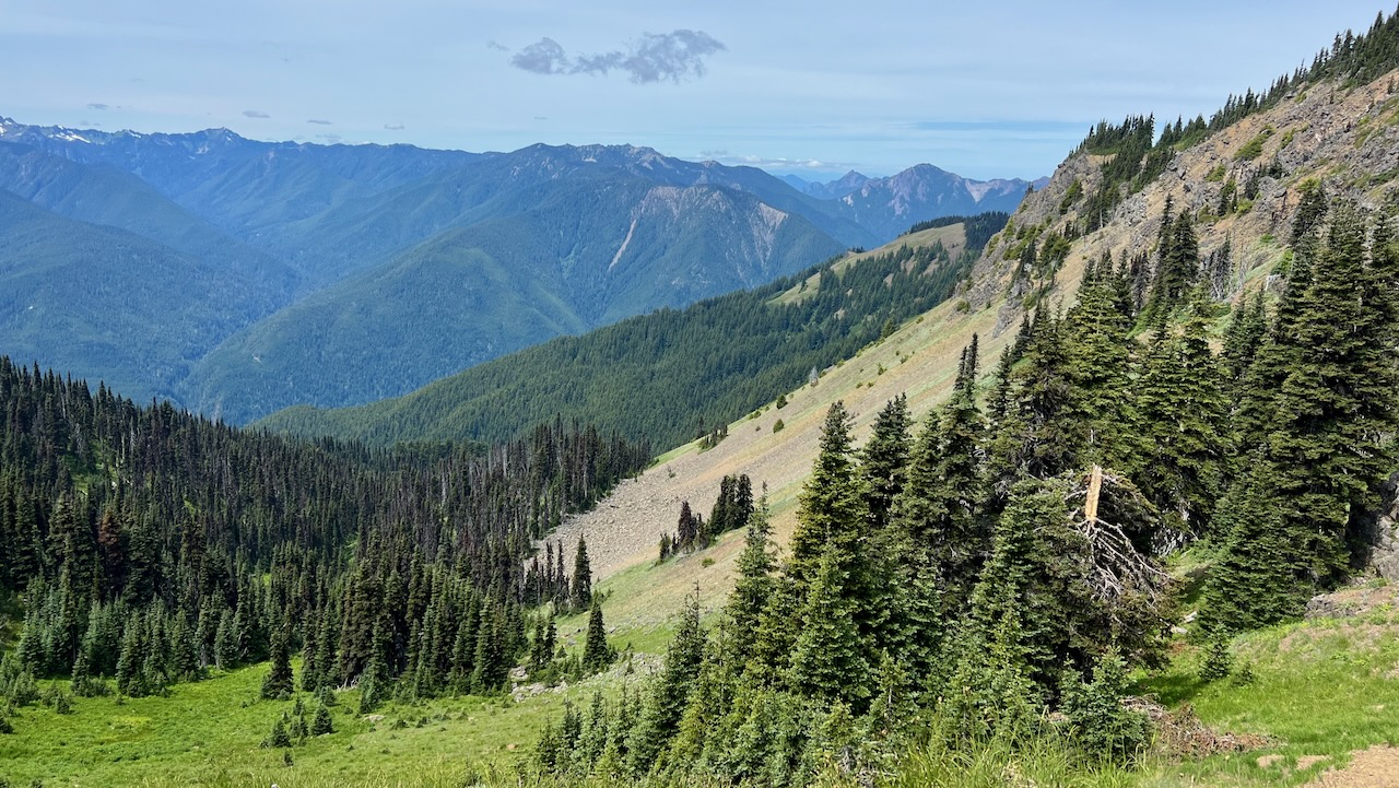 Morning at Hurricane Ridge