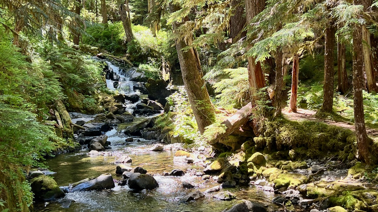 A Morning in Sol Duc