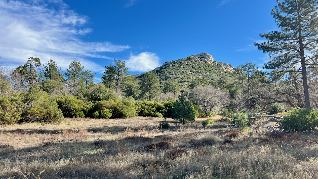 A Sunny Start in Rancho Cuyamaca