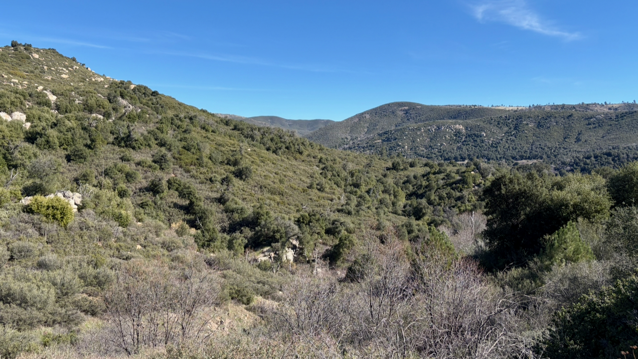 A Windy January Morning in Cuyamaca