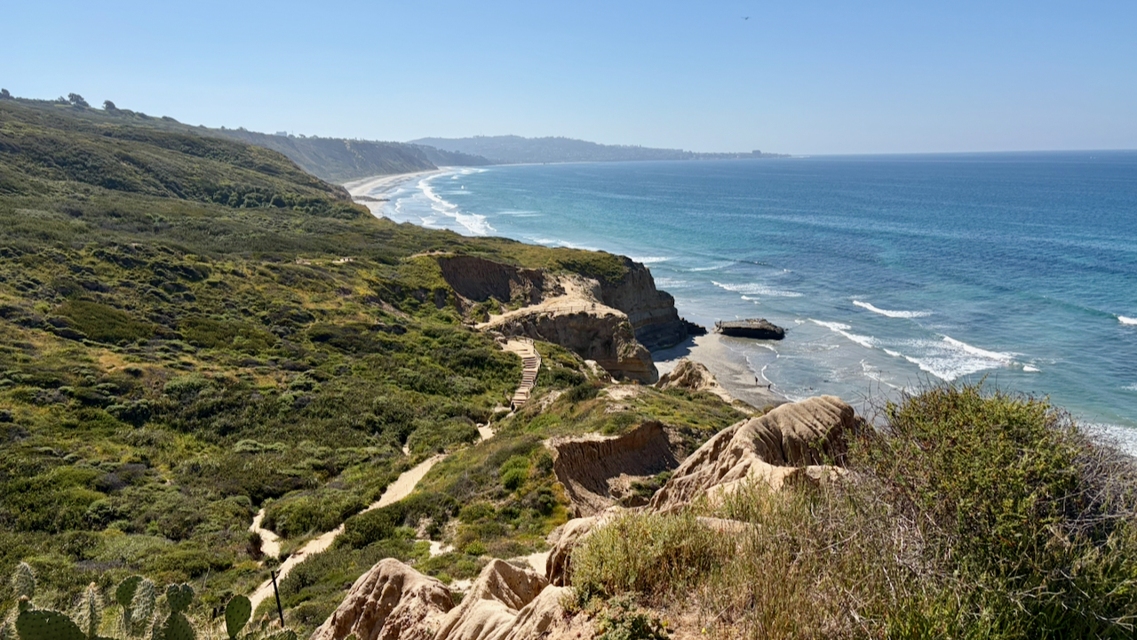 A Sunny Morning at Torrey Pines
