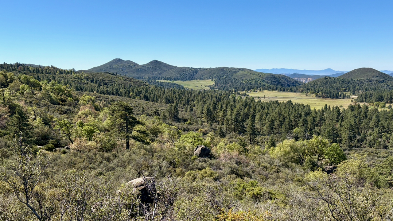 A Bright Spring Morning at Big Laguna