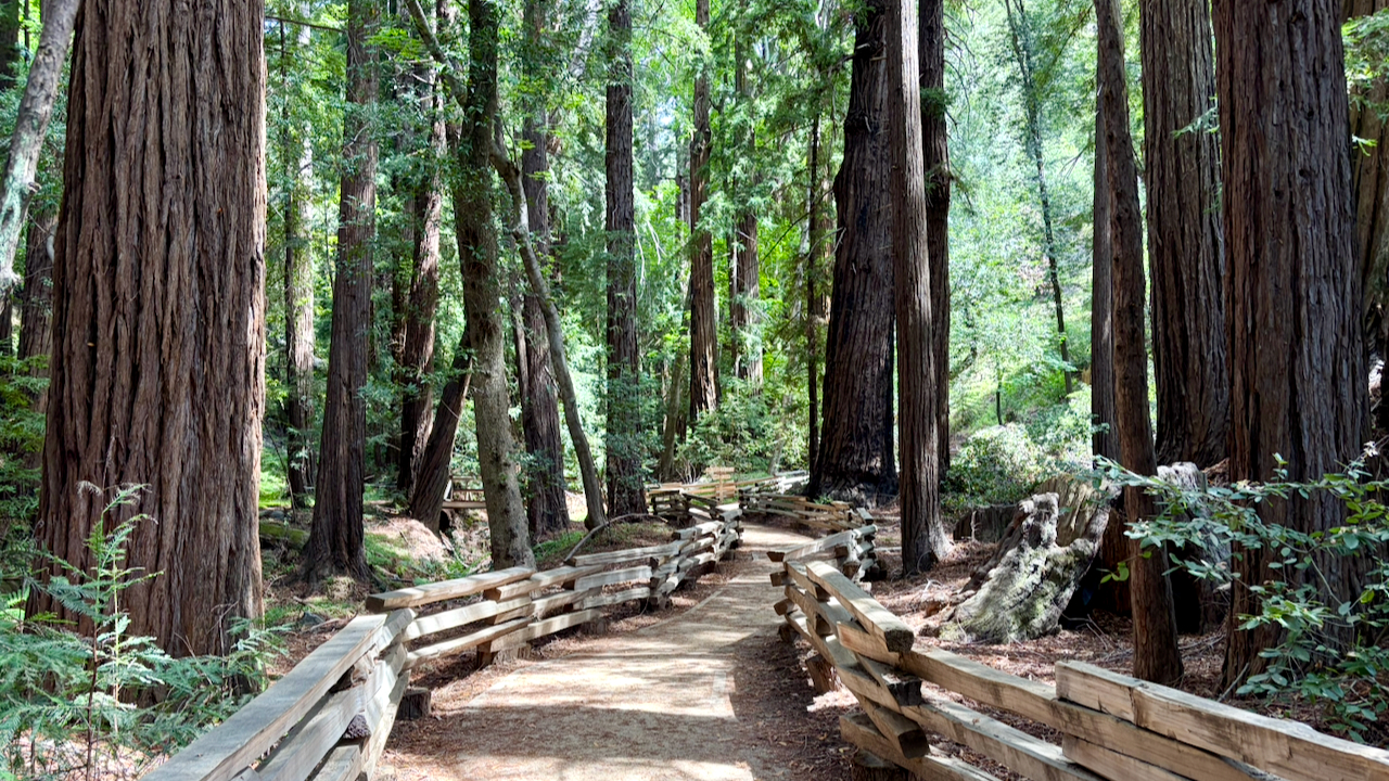 A Peaceful Walk to Pfeiffer Falls