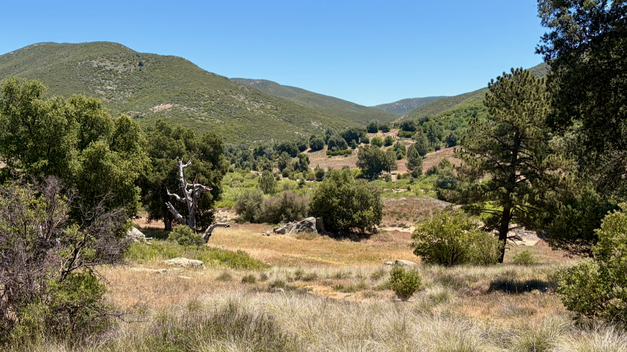 A Spring Adventure in Cuyamaca Rancho