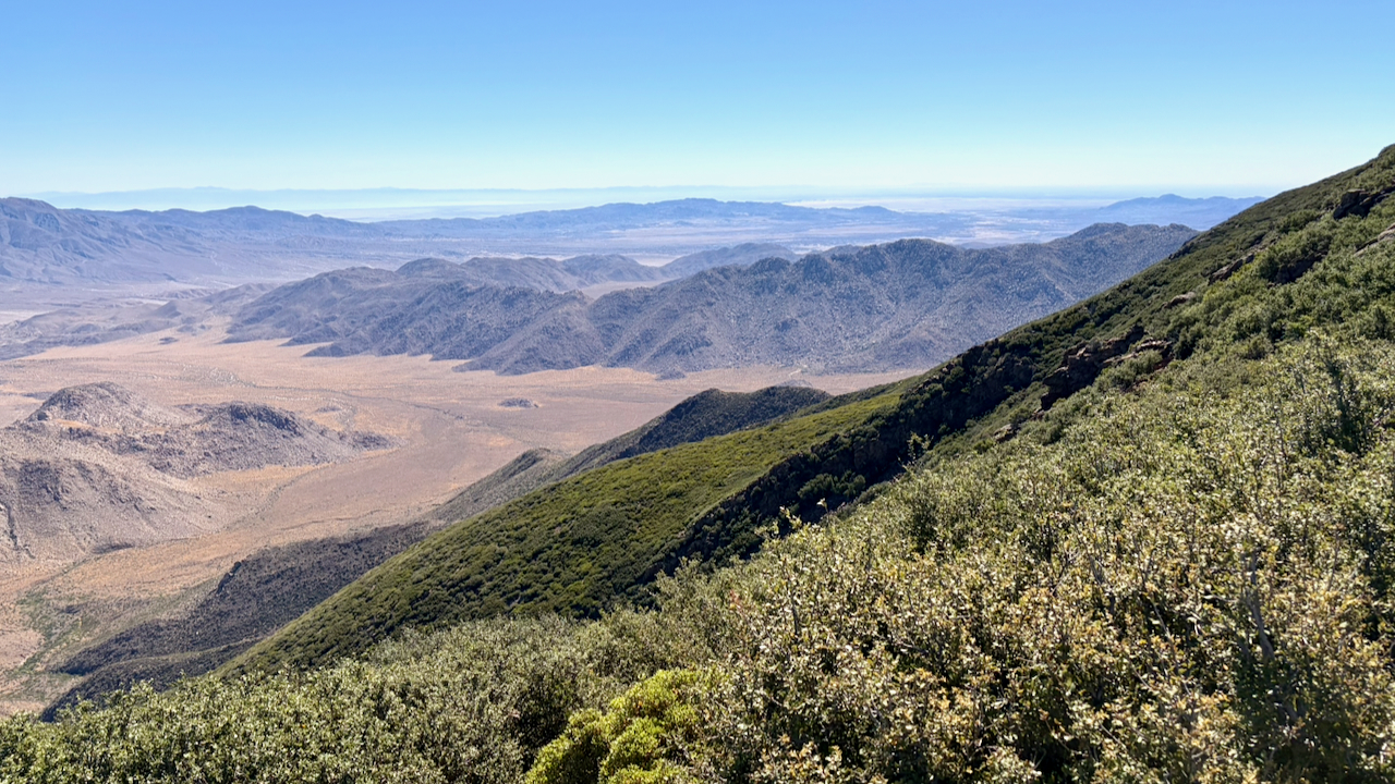 Goldfinches, Woodpeckers, and Views Along the PCT