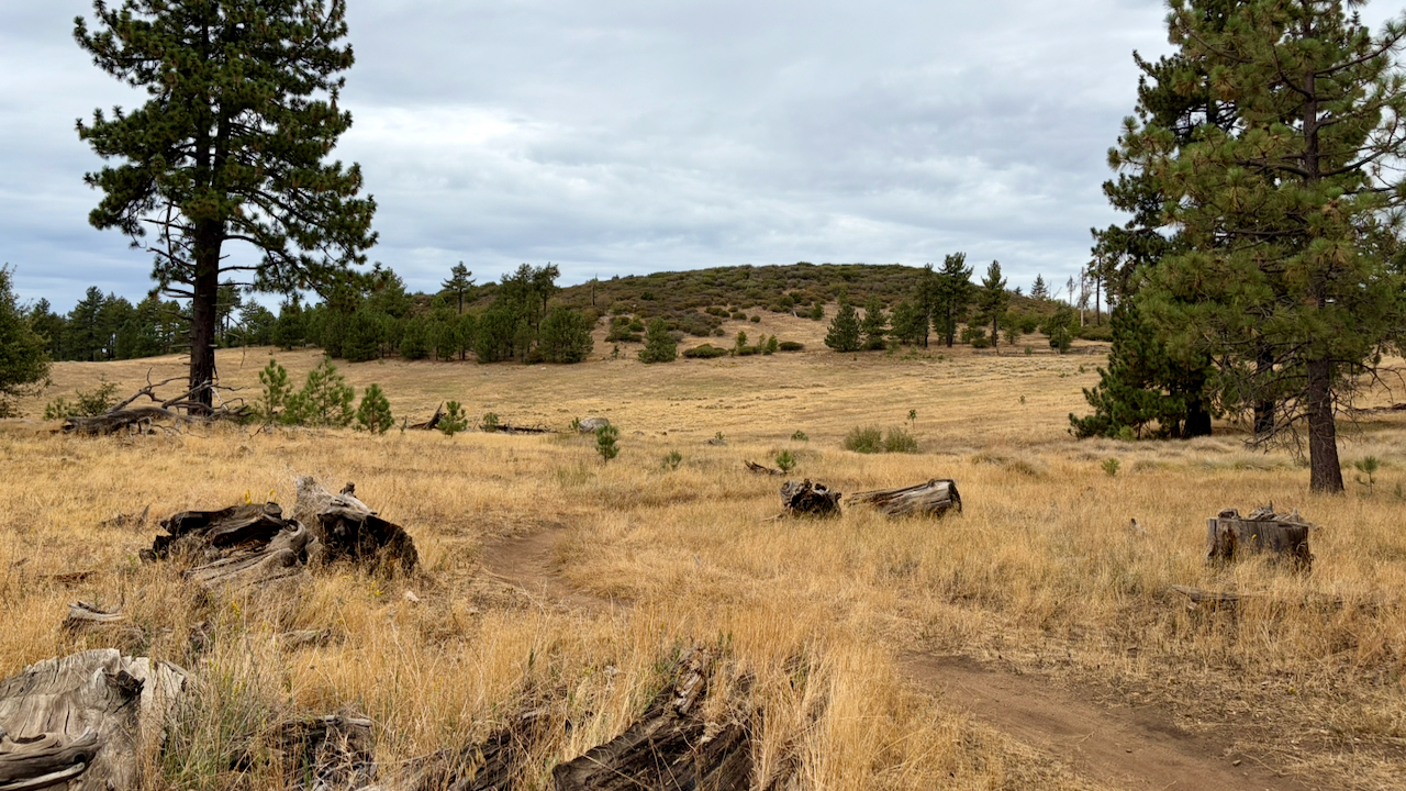 A September Morning in Laguna Mountains